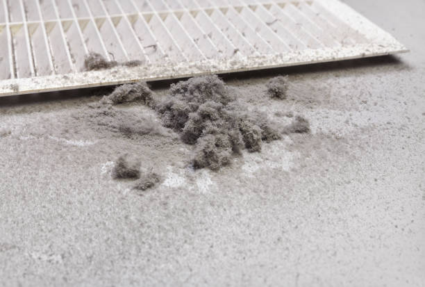 Best Affordable Duct Cleaning Services  in Jasonville, IN