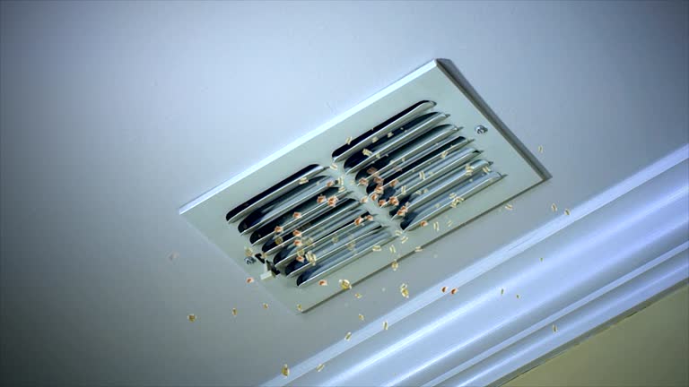 Best Best Air Duct Cleaning Company  in Jasonville, IN